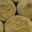 straw bales photoshop contest